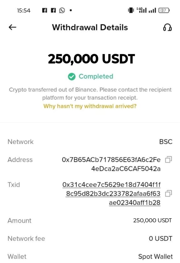Verified Flash USDT transaction confirmation